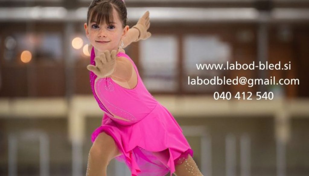 VPIS IN TEČAJI 2025