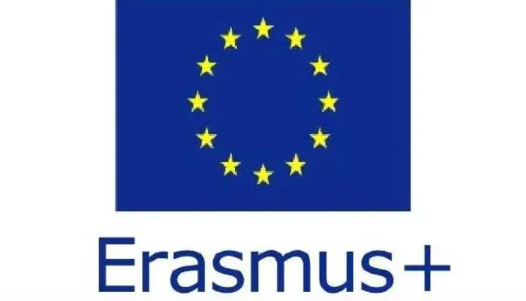 ERASMUS LOGO VERTICAL 1
